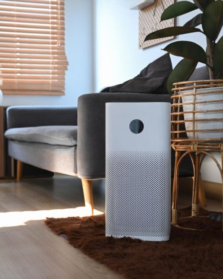 astuces pour maîtriser l'humidité durablement avec un Déshumidificateur pour cave