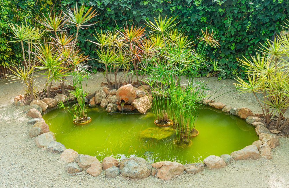 Aménager un bassin extérieurs pour un havre de paix naturel et serein