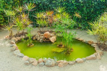 Aménager un bassin extérieurs pour un havre de paix naturel et serein