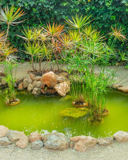 Aménager un bassin extérieurs pour un havre de paix naturel et serein