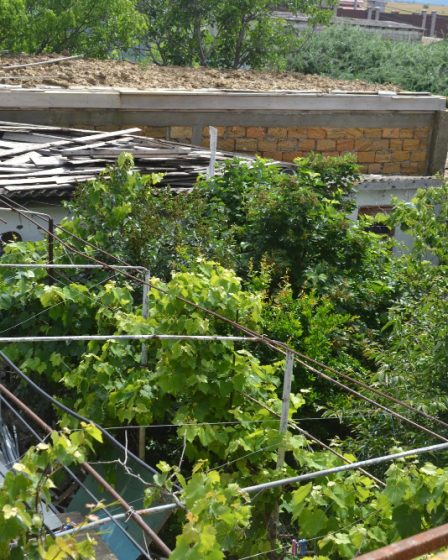Résidence écologique vite-un-chantier grenoble